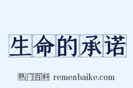 生命的承诺是什么意思的图片